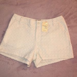 💕NEW Lucky Brand shorts